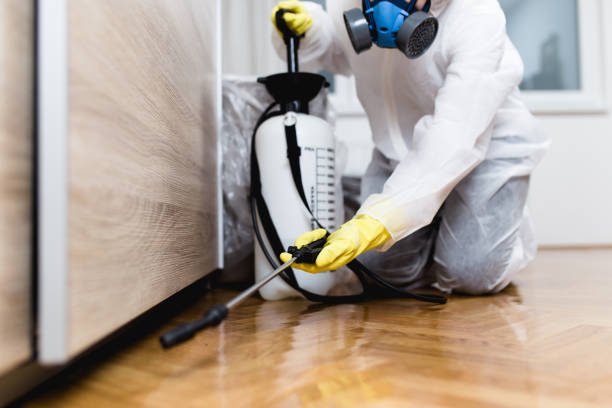 Best Exterminator Services  in Coulee Dam, WA
