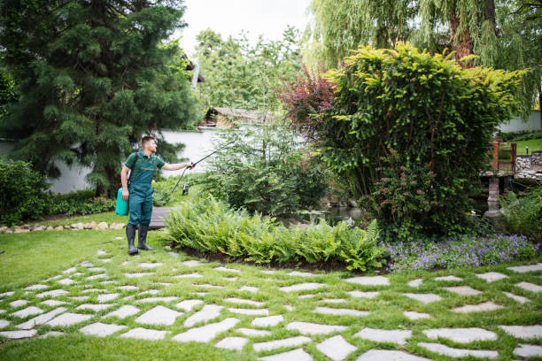 Best Emergency Pest Control  in Coulee Dam, WA
