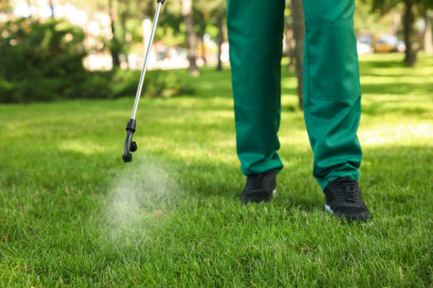 Best Flea Control Services  in Coulee Dam, WA