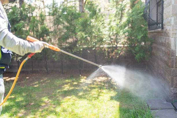 Best Best Pest Control Companies  in Coulee Dam, WA