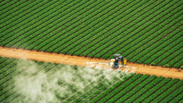 Best Best Pest Control Companies  in Coulee Dam, WA