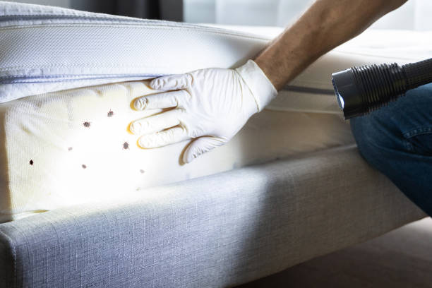 Best Affordable Pest Control Services  in Coulee Dam, WA