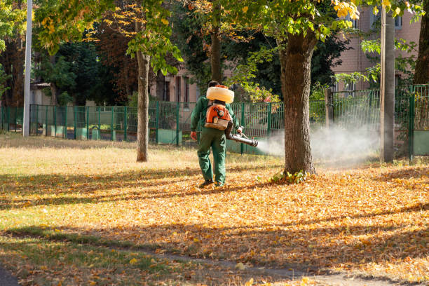 Best Pest Removal Services  in Coulee Dam, WA