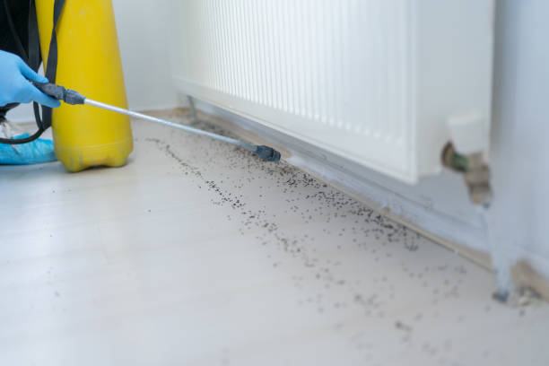 Best Cockroach Control Services  in Coulee Dam, WA